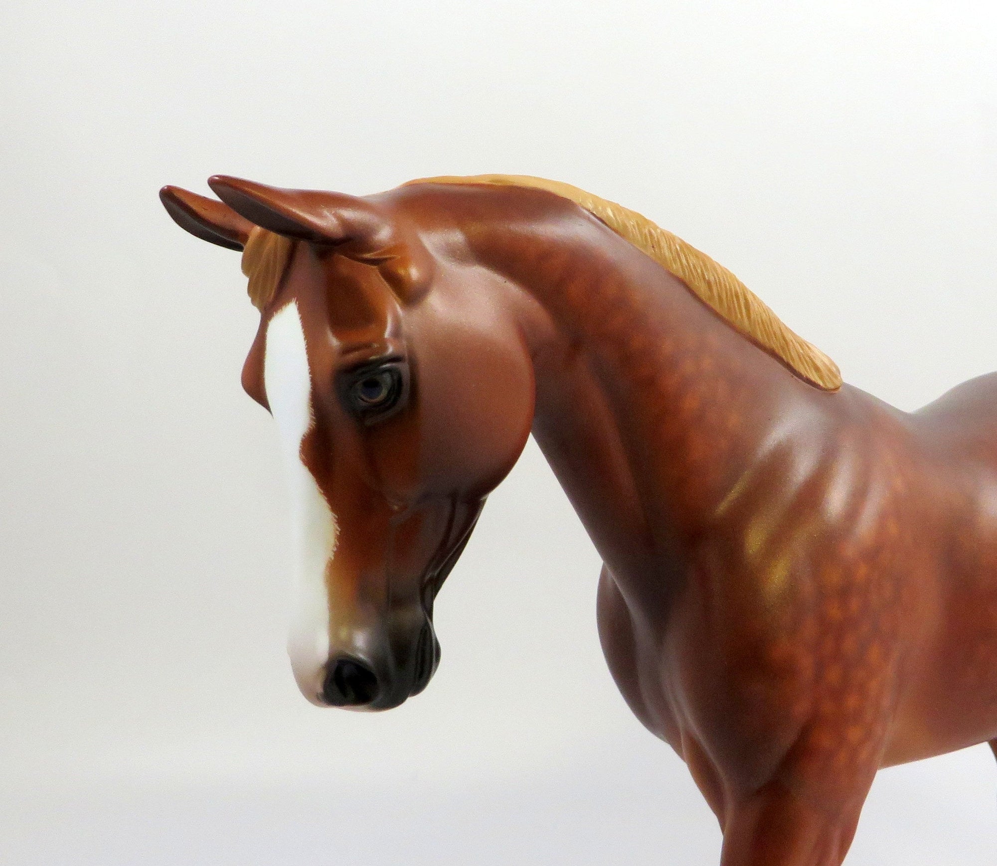 CHANEL-OOAK CHESTNUT PALOUSE MODEL HORSE BY SHERYL LEISURE EQ 19