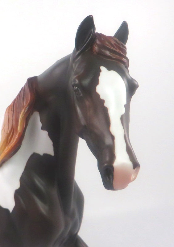 CHAR DO NEIGH -OOAK BAY PINTO ARABIAN MARE BY AUDREY DIXON SB20