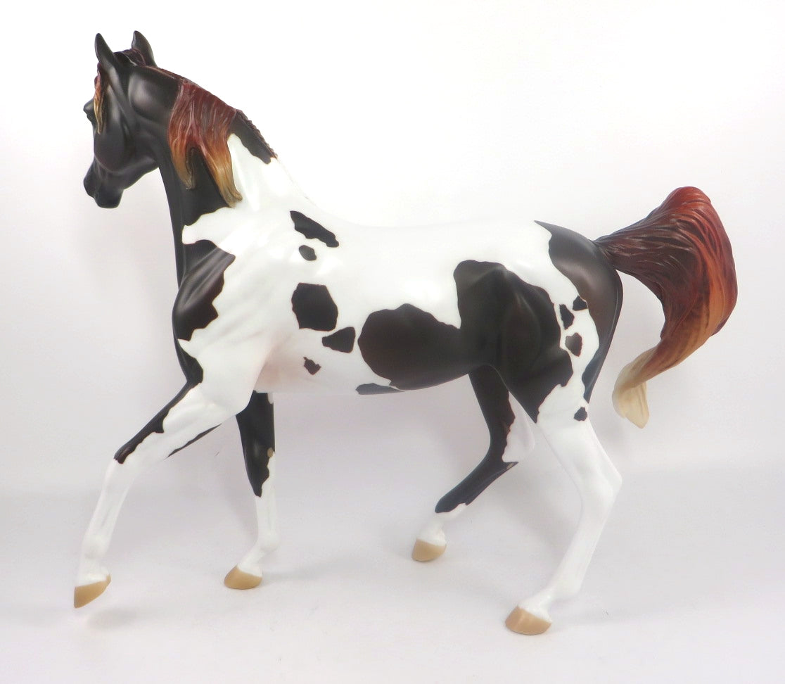 CHAR DO NEIGH -OOAK BAY PINTO ARABIAN MARE BY AUDREY DIXON SB20