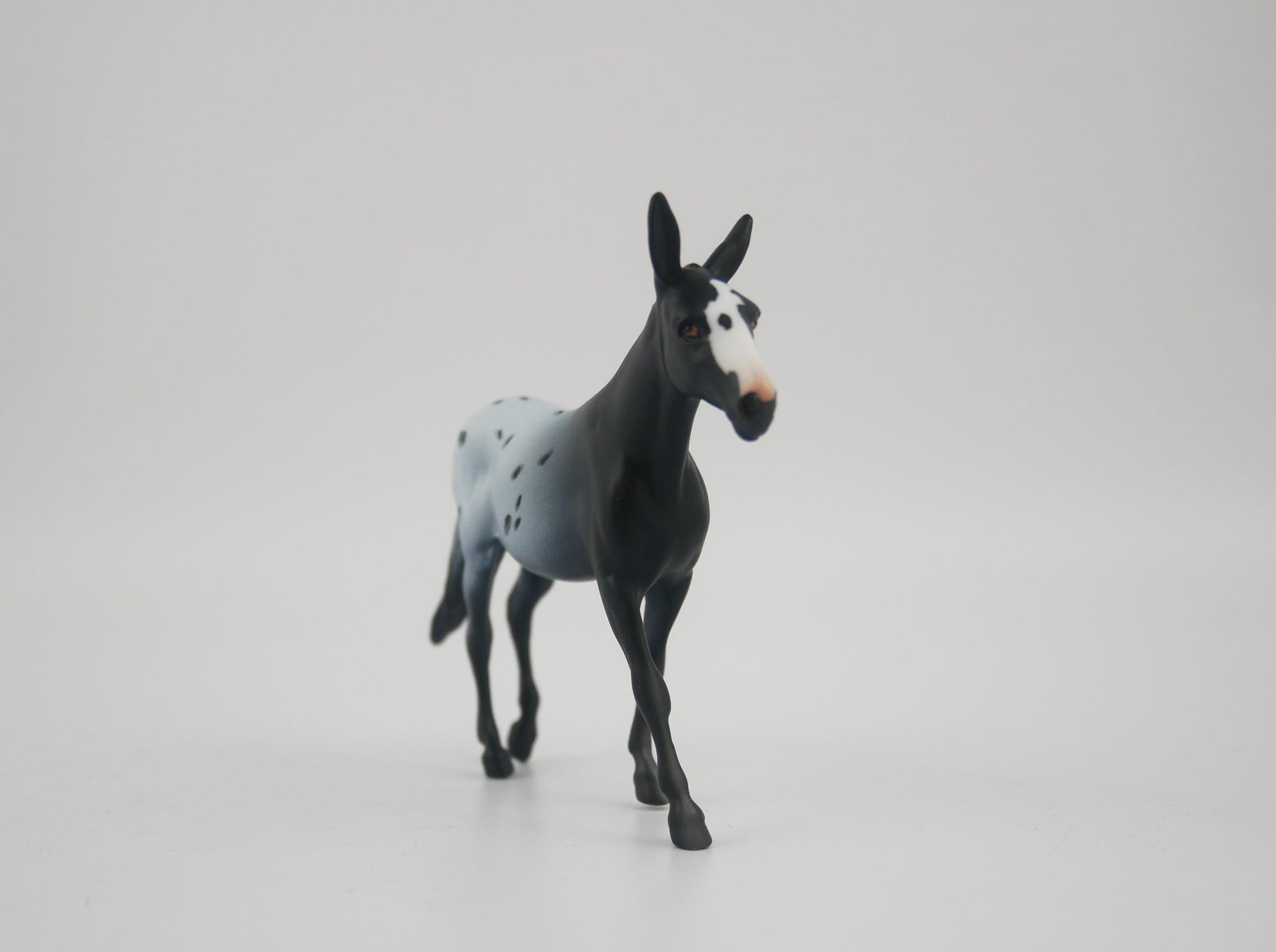 CHARCOAL-OOAK APPALOOSA MULE CHIP BY KAYLA
