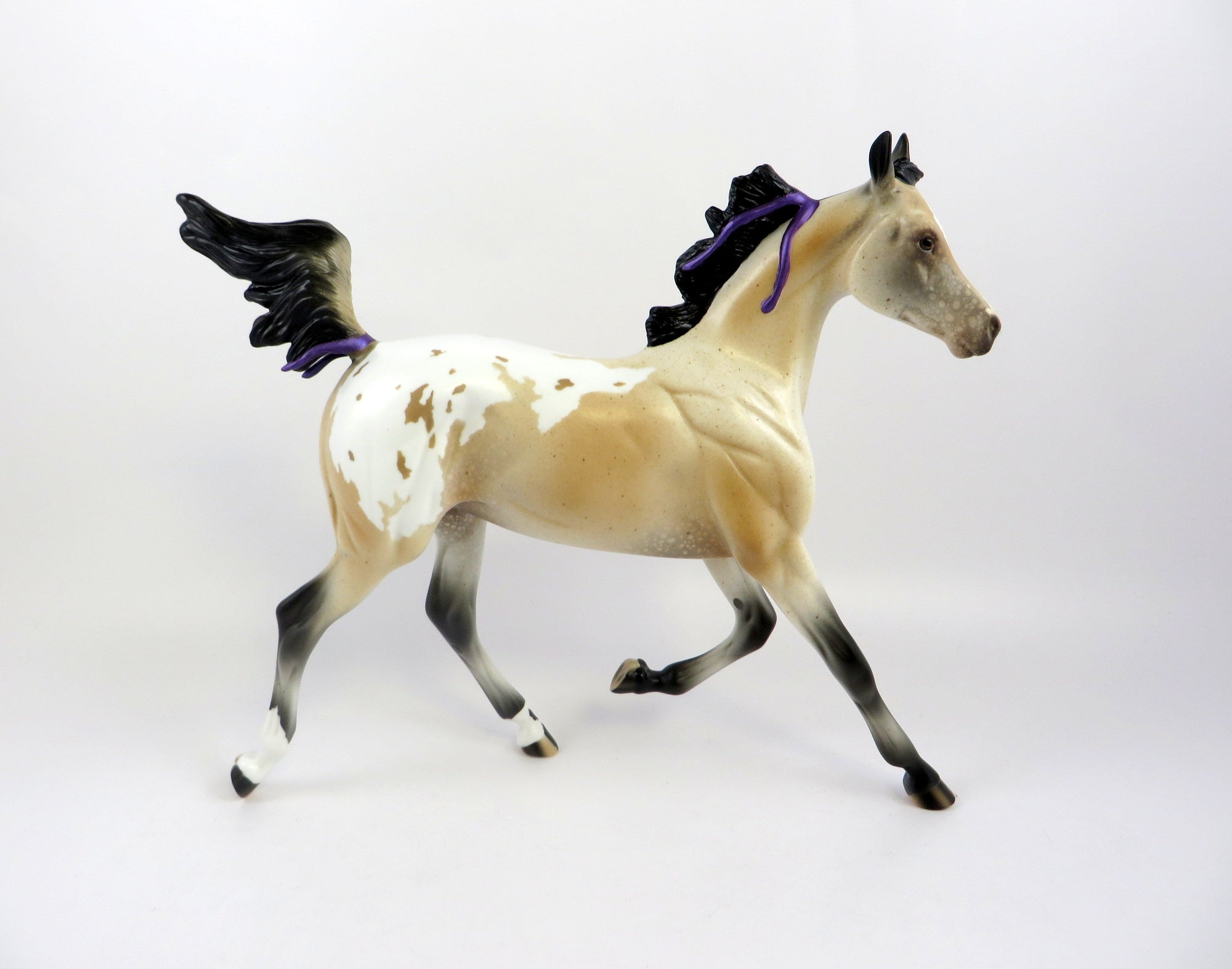 PRINCESS CHARLOTTE-LE-10 BUCKSKIN APPALOOSA YEARLING WITH PURPLE RIBBON EQ 19