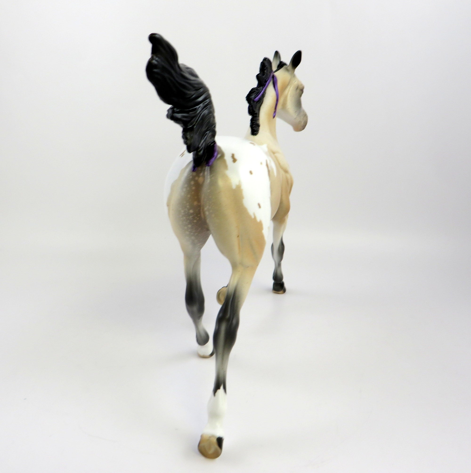 PRINCESS CHARLOTTE-LE-10 BUCKSKIN APPALOOSA YEARLING WITH PURPLE RIBBON EQ 19