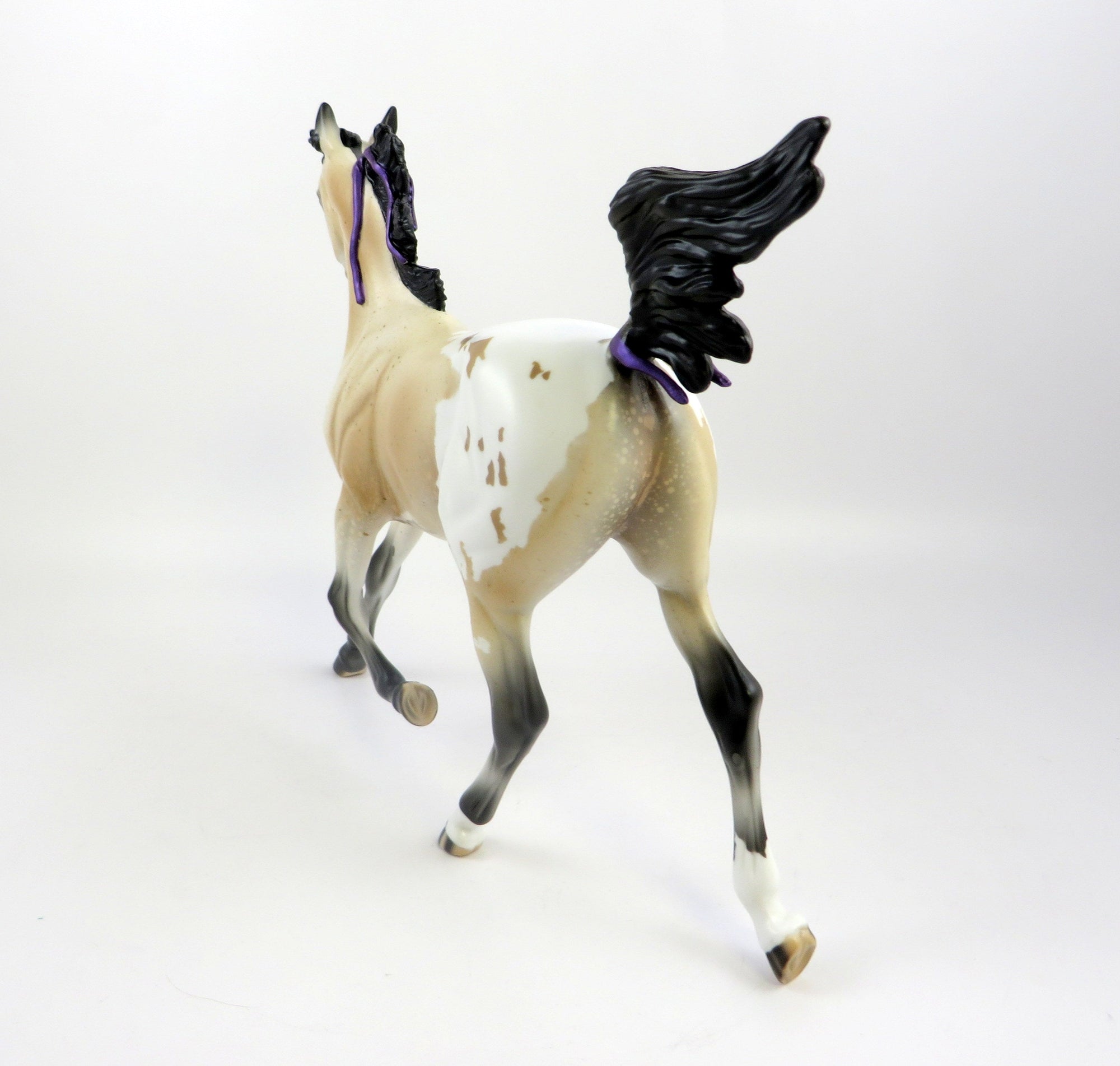 PRINCESS CHARLOTTE-LE-10 BUCKSKIN APPALOOSA YEARLING WITH PURPLE RIBBON EQ 19