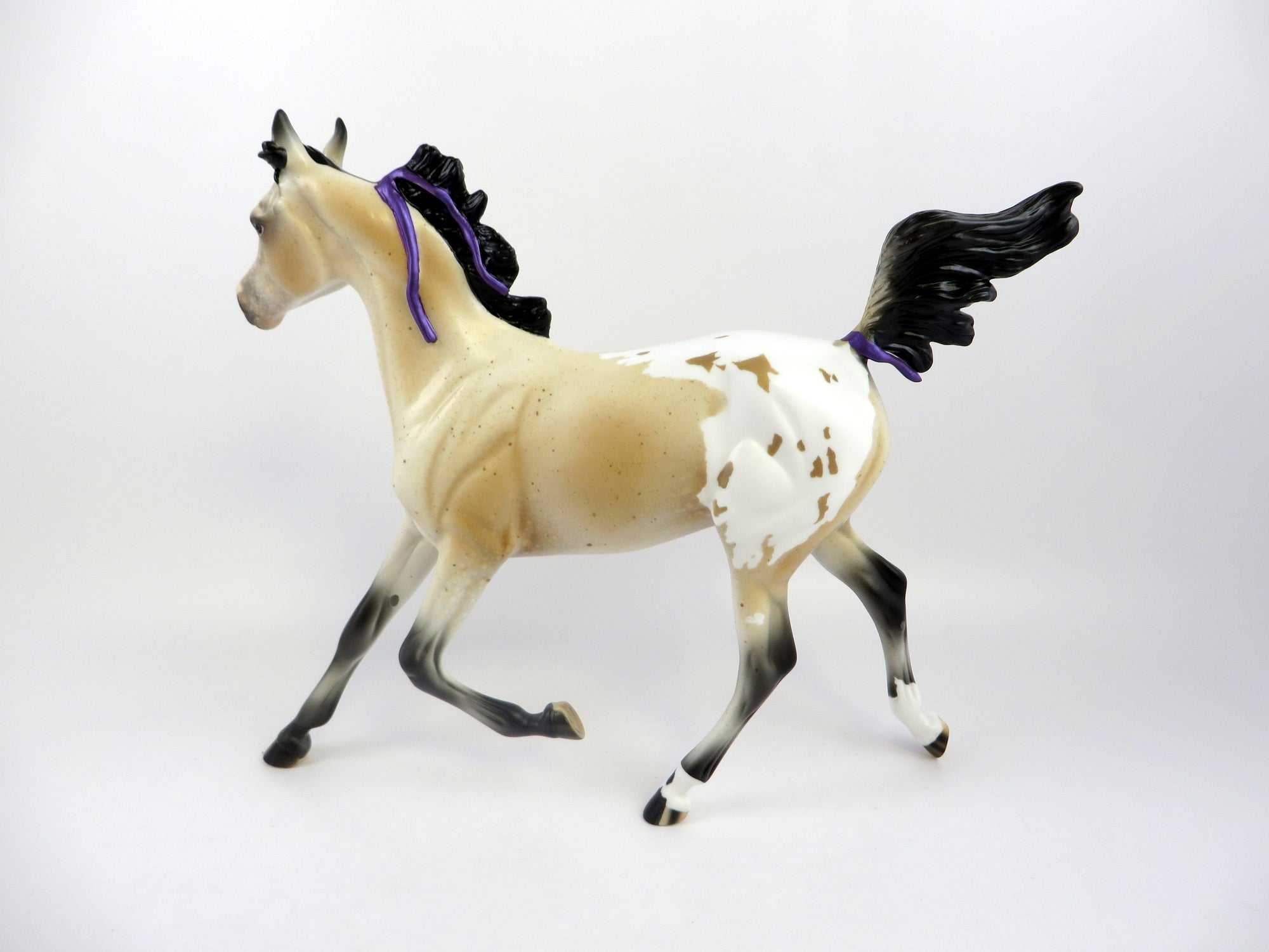 PRINCESS CHARLOTTE-LE-10 BUCKSKIN APPALOOSA YEARLING WITH PURPLE RIBBON EQ 19
