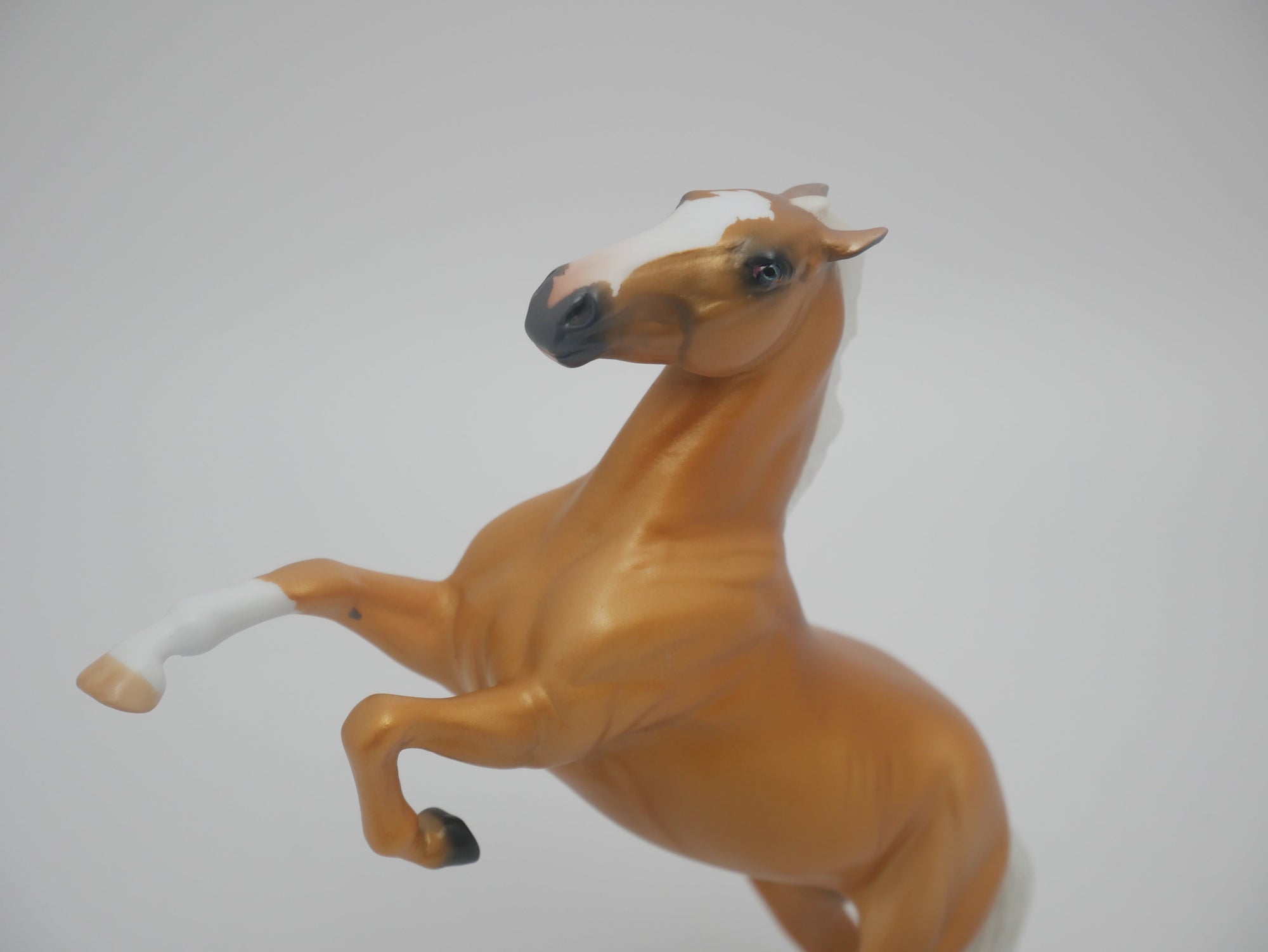 CHEESE HEAD LE-12 CUSTOM PALOMINO REARING PEBBLES 3/24/20