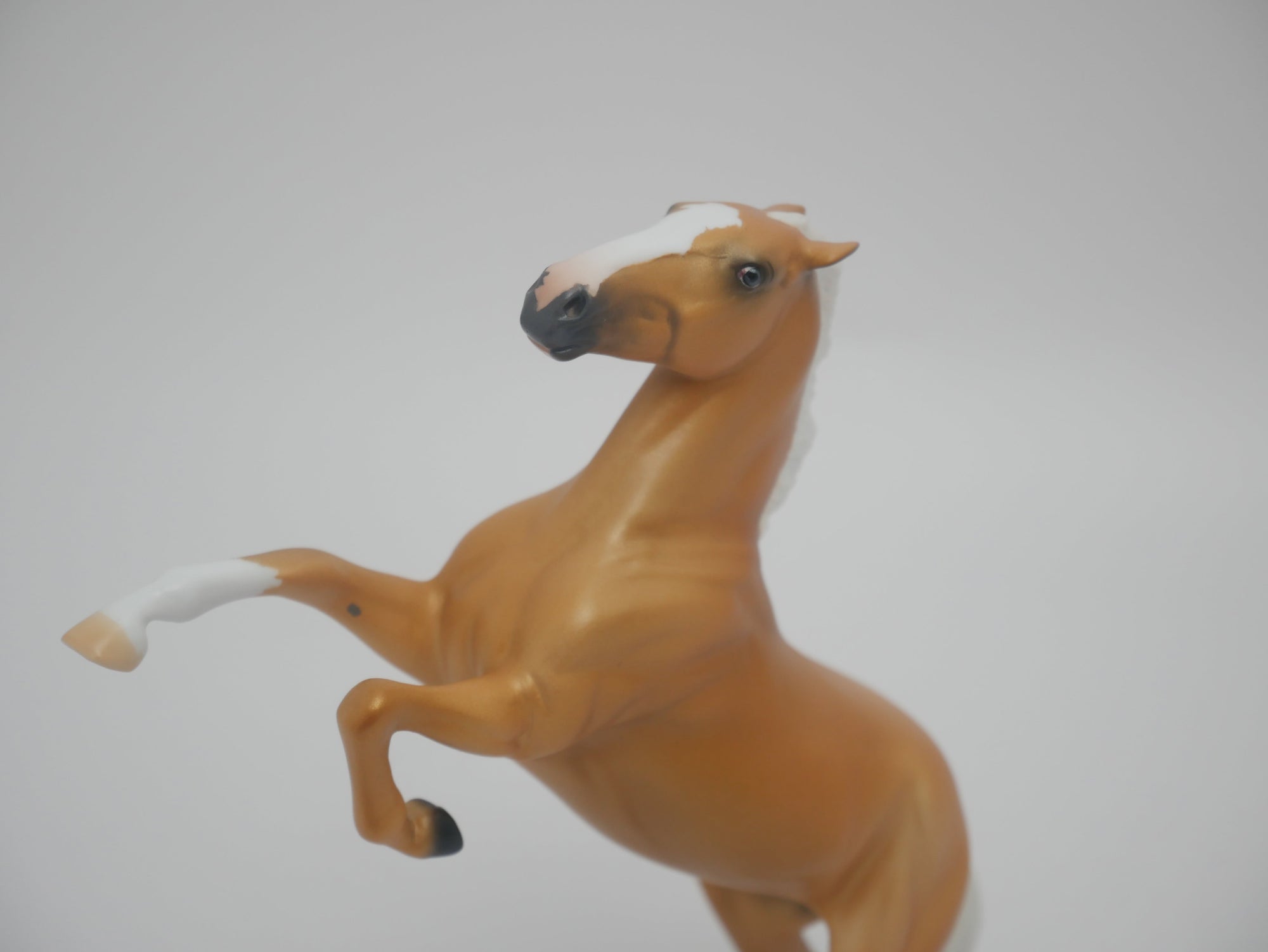 CHEESE HEAD LE-8 NON CUSTOM PALOMINO REARING PEBBLES 3/24/20