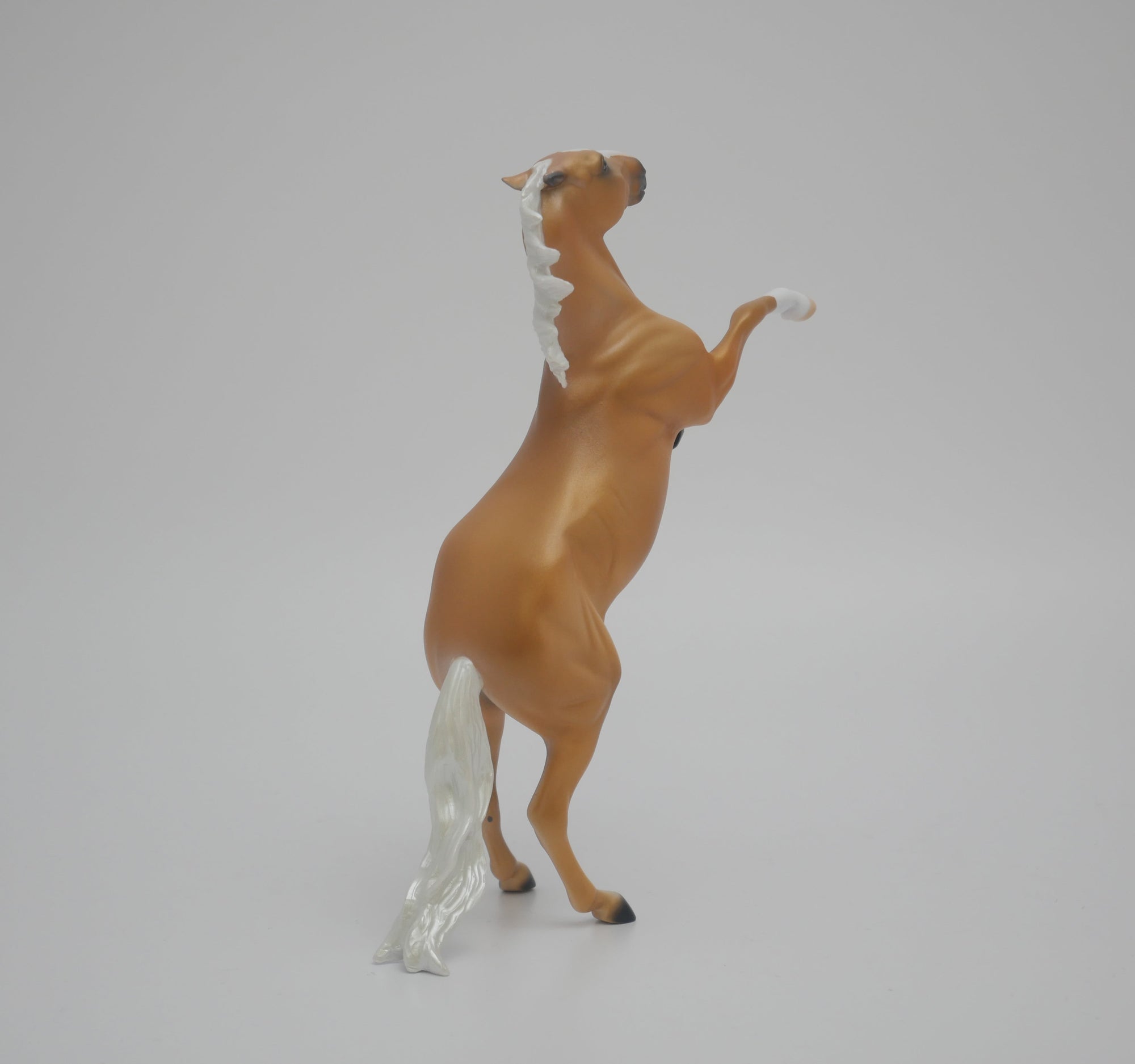 CHEESE HEAD LE-8 NON CUSTOM PALOMINO REARING PEBBLES 3/24/20