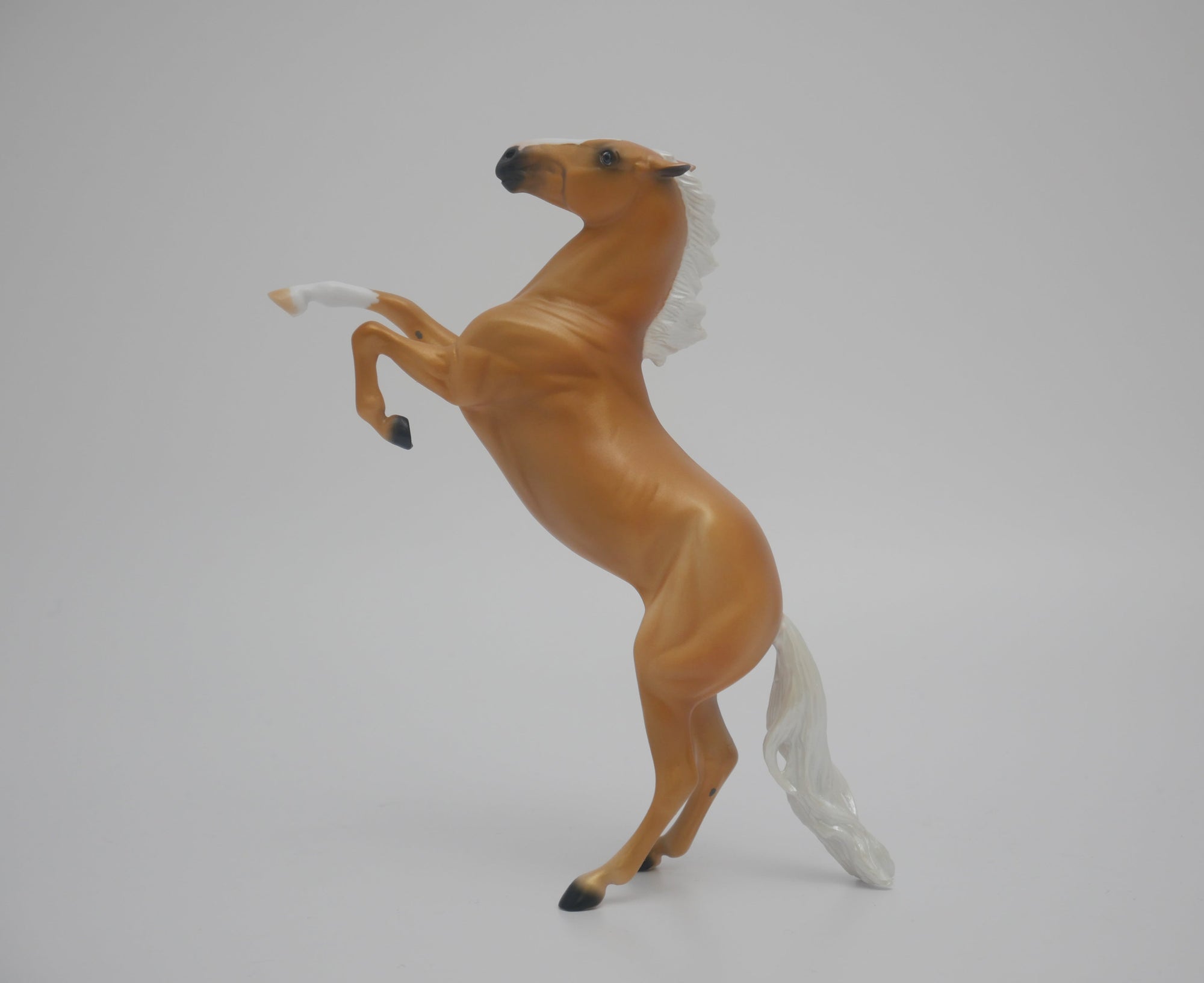 CHEESE HEAD LE-8 NON CUSTOM PALOMINO REARING PEBBLES 3/24/20