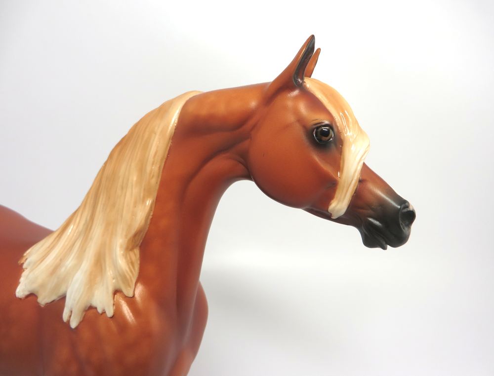 Yangle Dappled Chestnut