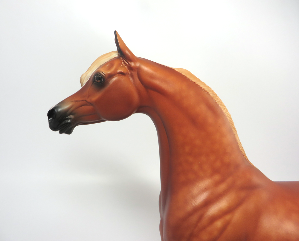 Yangle Sheryl Leisure