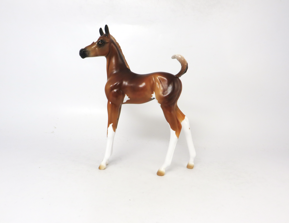 RUMBLE- LE 7 CHESTNUT FLAXEN MANE AN TAIL SABINO SB19