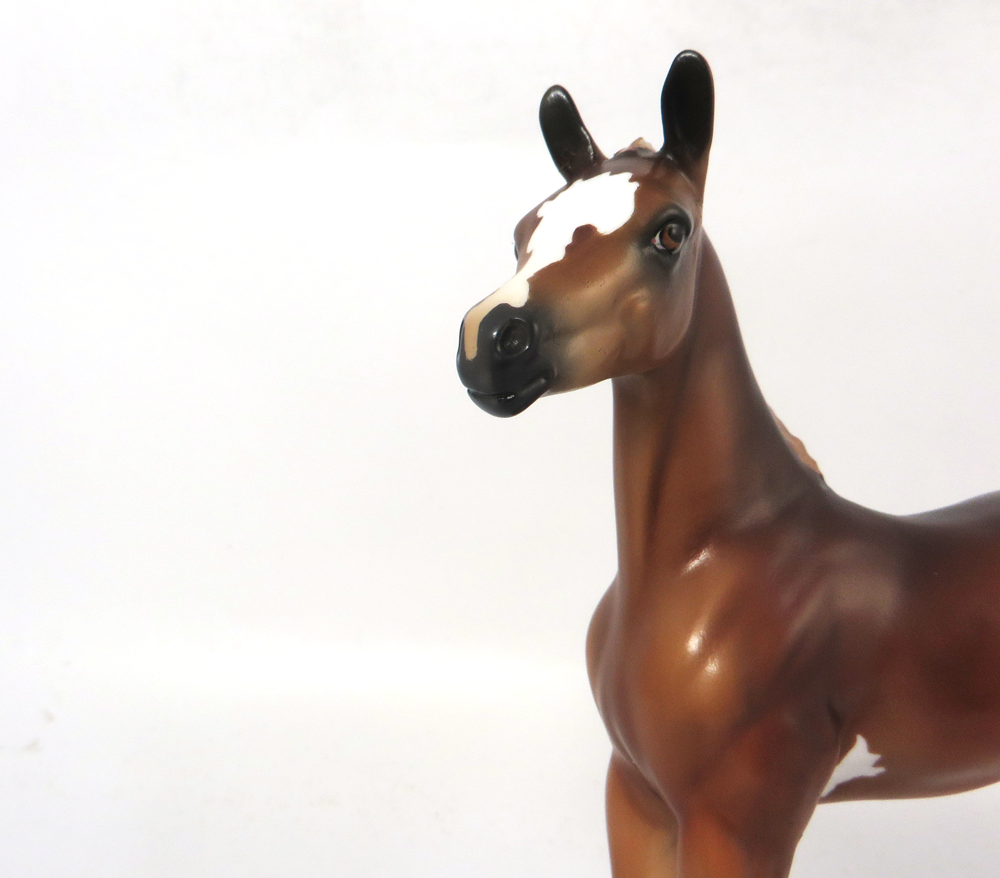 RUMBLE- LE 7 CHESTNUT FLAXEN MANE AN TAIL SABINO SB19