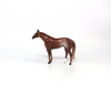 FIGHT ON-OOAK- CHESTNUT RABICANO STOCK CHIP BY AUDREY DIXON SB19