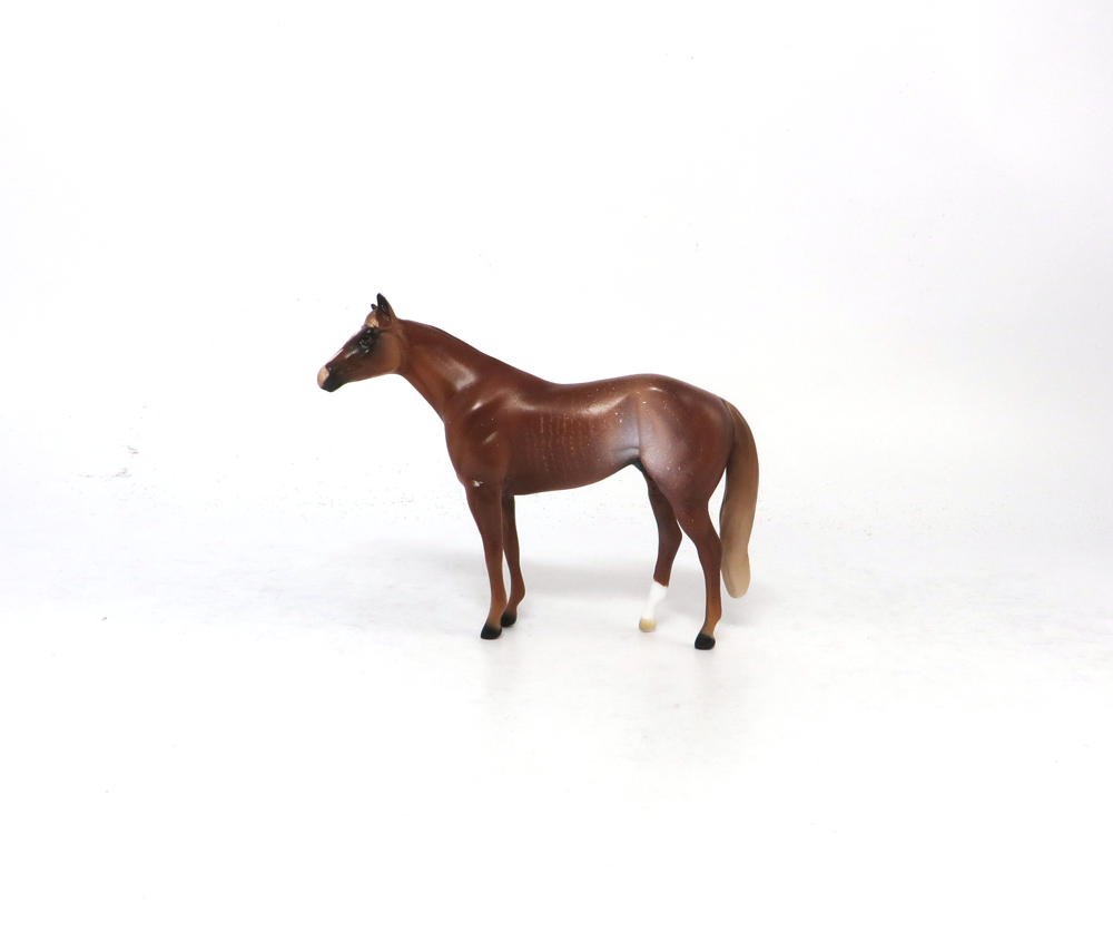 FIGHT ON-OOAK- CHESTNUT RABICANO STOCK CHIP BY AUDREY DIXON SB19