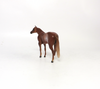 FIGHT ON-OOAK- CHESTNUT RABICANO STOCK CHIP BY AUDREY DIXON SB19