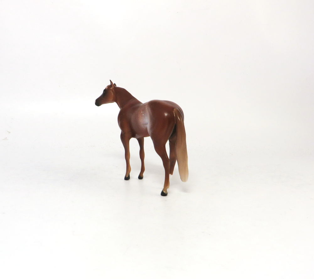 FIGHT ON-OOAK- CHESTNUT RABICANO STOCK CHIP BY AUDREY DIXON SB19