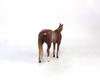 FIGHT ON-OOAK- CHESTNUT RABICANO STOCK CHIP BY AUDREY DIXON SB19