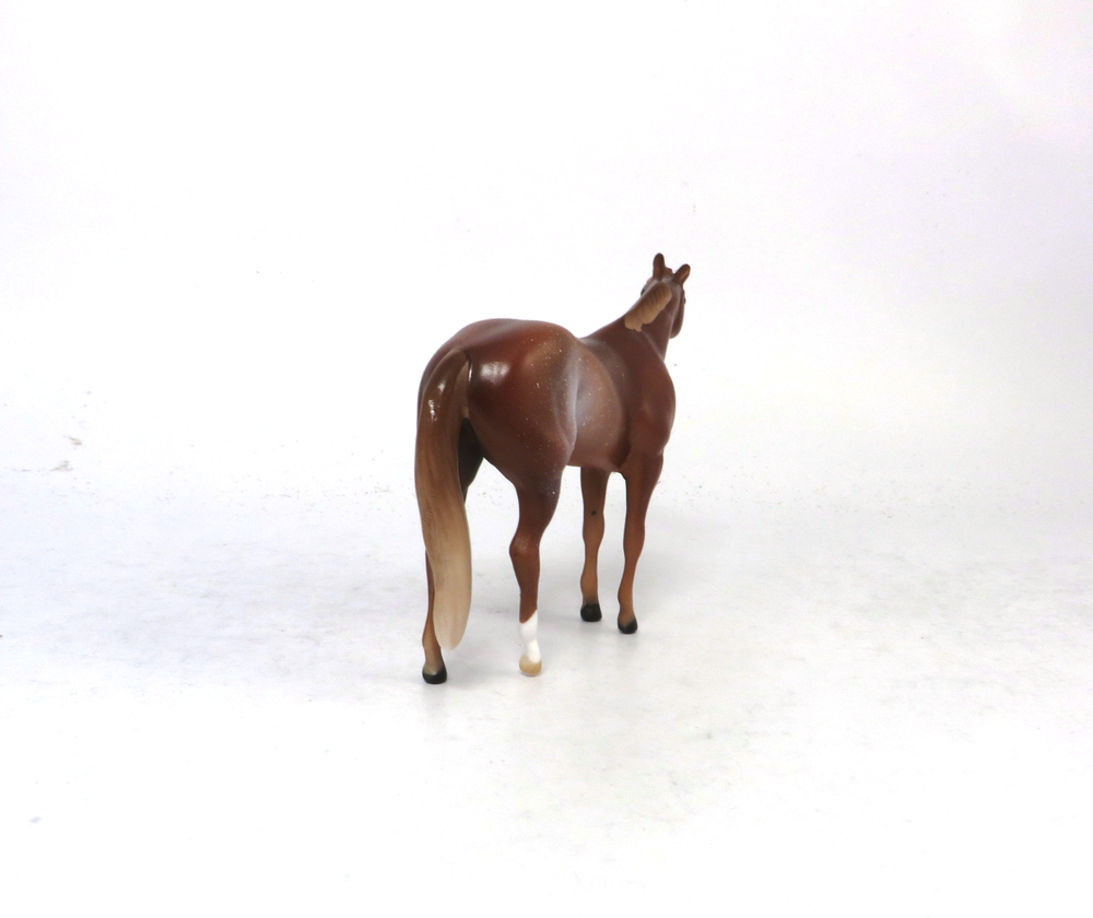 FIGHT ON-OOAK- CHESTNUT RABICANO STOCK CHIP BY AUDREY DIXON SB19