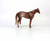 FIGHT ON-OOAK- CHESTNUT RABICANO STOCK CHIP BY AUDREY DIXON SB19