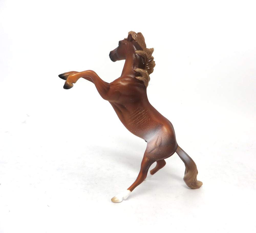 PETER PAN- OOAK CHESTNUT RABICANO REARING CHIP 2-15-19