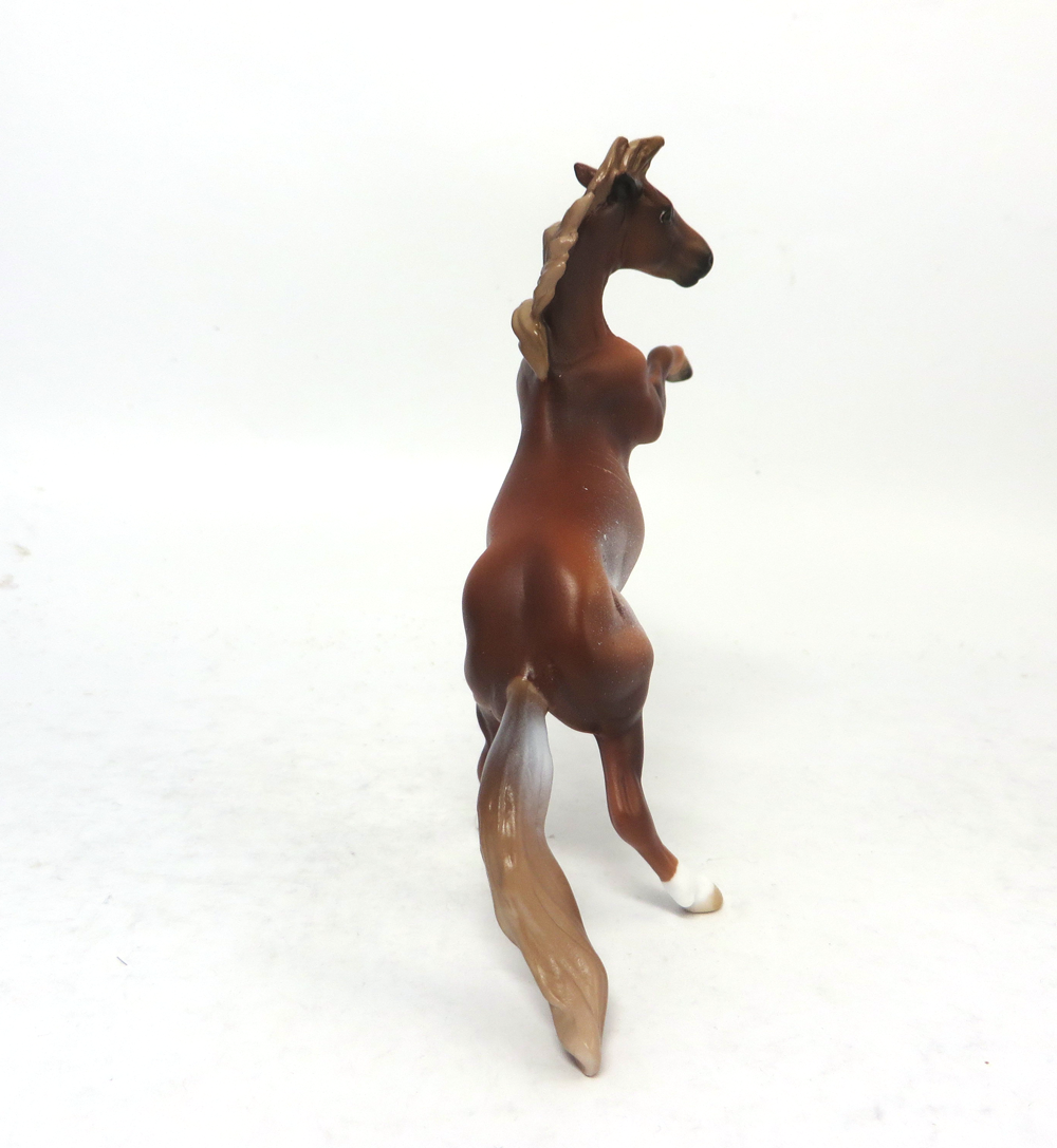 PETER PAN- OOAK CHESTNUT RABICANO REARING CHIP 2-15-19
