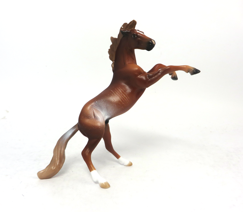 PETER PAN- OOAK CHESTNUT RABICANO REARING CHIP 2-15-19