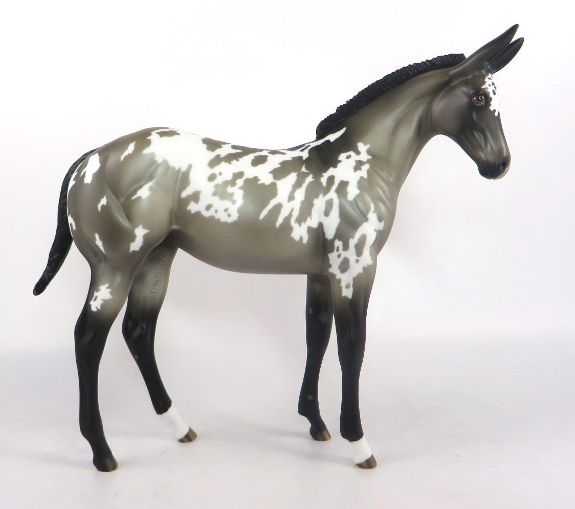 CHICO-OOAK GRULLA APPALOOSA WEANLING MULE MODEL HORSE 2/12/20