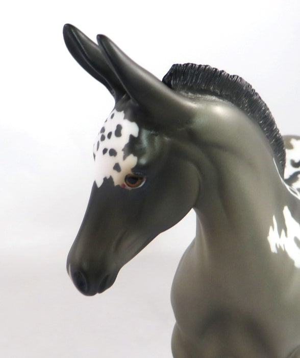 CHICO-OOAK GRULLA APPALOOSA WEANLING MULE MODEL HORSE 2/12/20