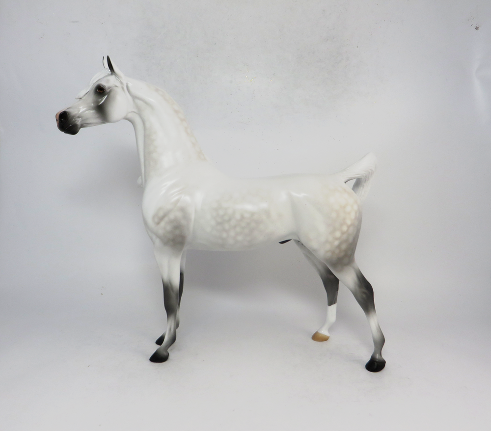 CHIEF- LE-5 DAPPLED FLEABITTEN GREY ARABIAN BY AUDREY DIXON SB19