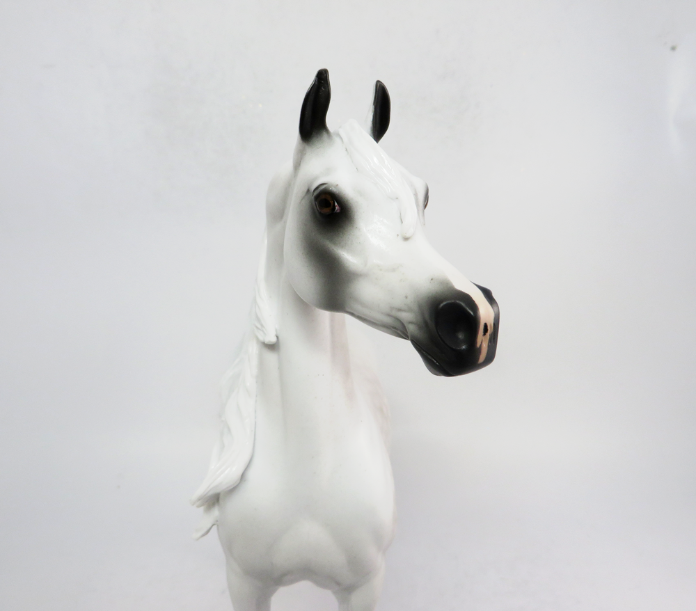 CHIEF- LE-5 DAPPLED FLEABITTEN GREY ARABIAN BY AUDREY DIXON SB19