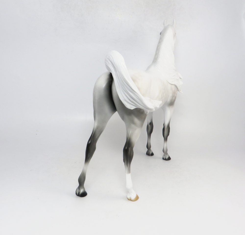 CHIEF- LE-5 DAPPLED FLEABITTEN GREY ARABIAN BY AUDREY DIXON SB19