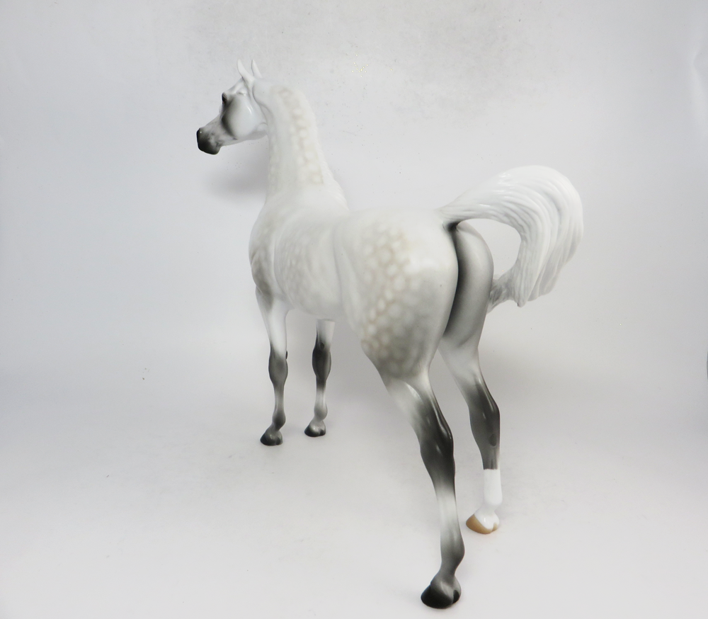 CHIEF- LE-5 DAPPLED FLEABITTEN GREY ARABIAN BY AUDREY DIXON SB19