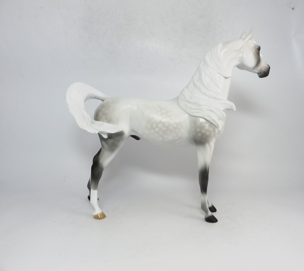 CHIEF- LE-5 DAPPLED FLEABITTEN GREY ARABIAN BY AUDREY DIXON SB19