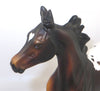 CHOCOLATE DROP-OOAK BAY APPALOOSA YEARLING MODEL HORSE SB20