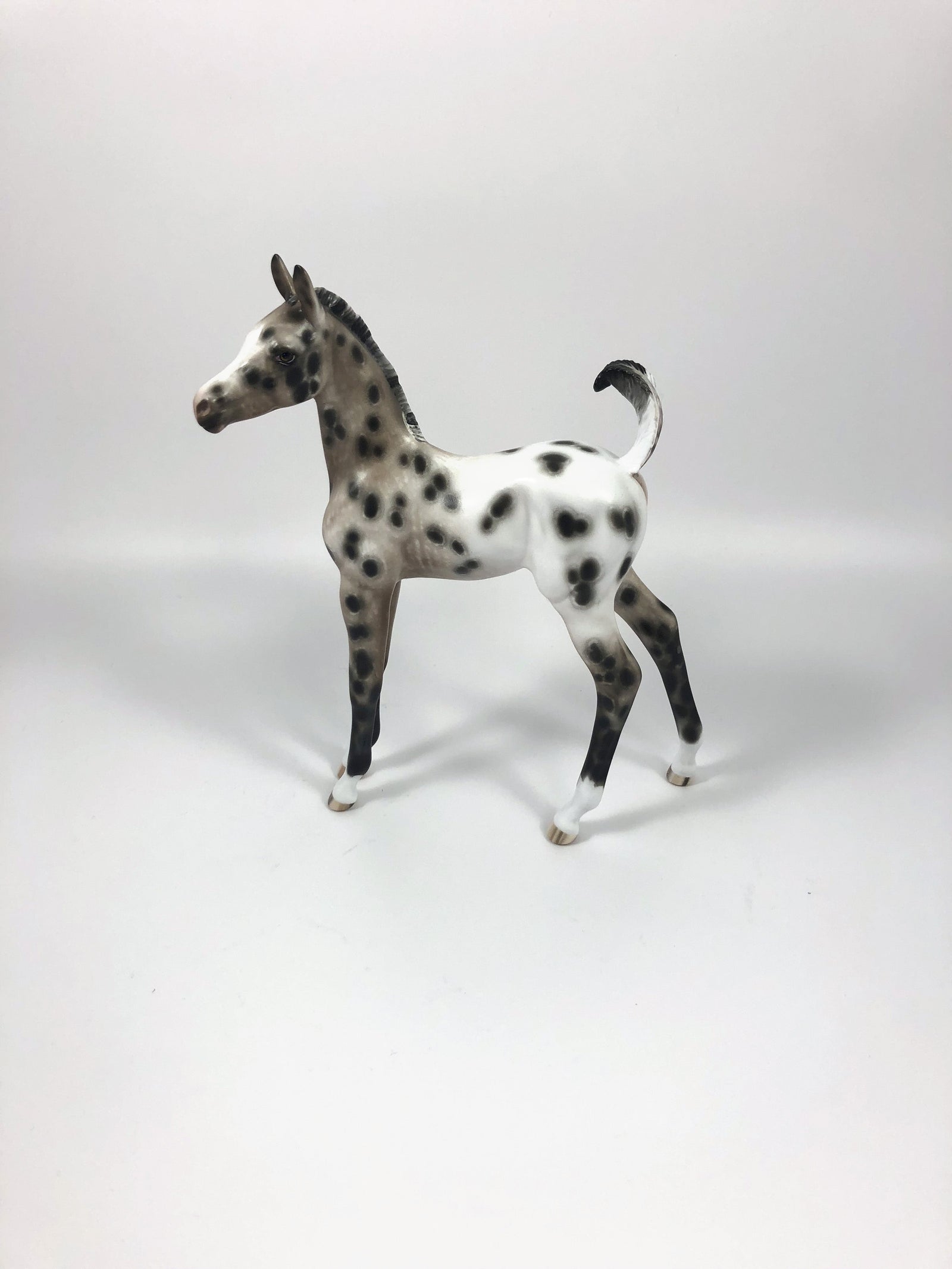 CHOCOLATE JIMMIES-OOAK BAY APPALOOSA FOAL BY SHERYL LEISURE 4/25/19