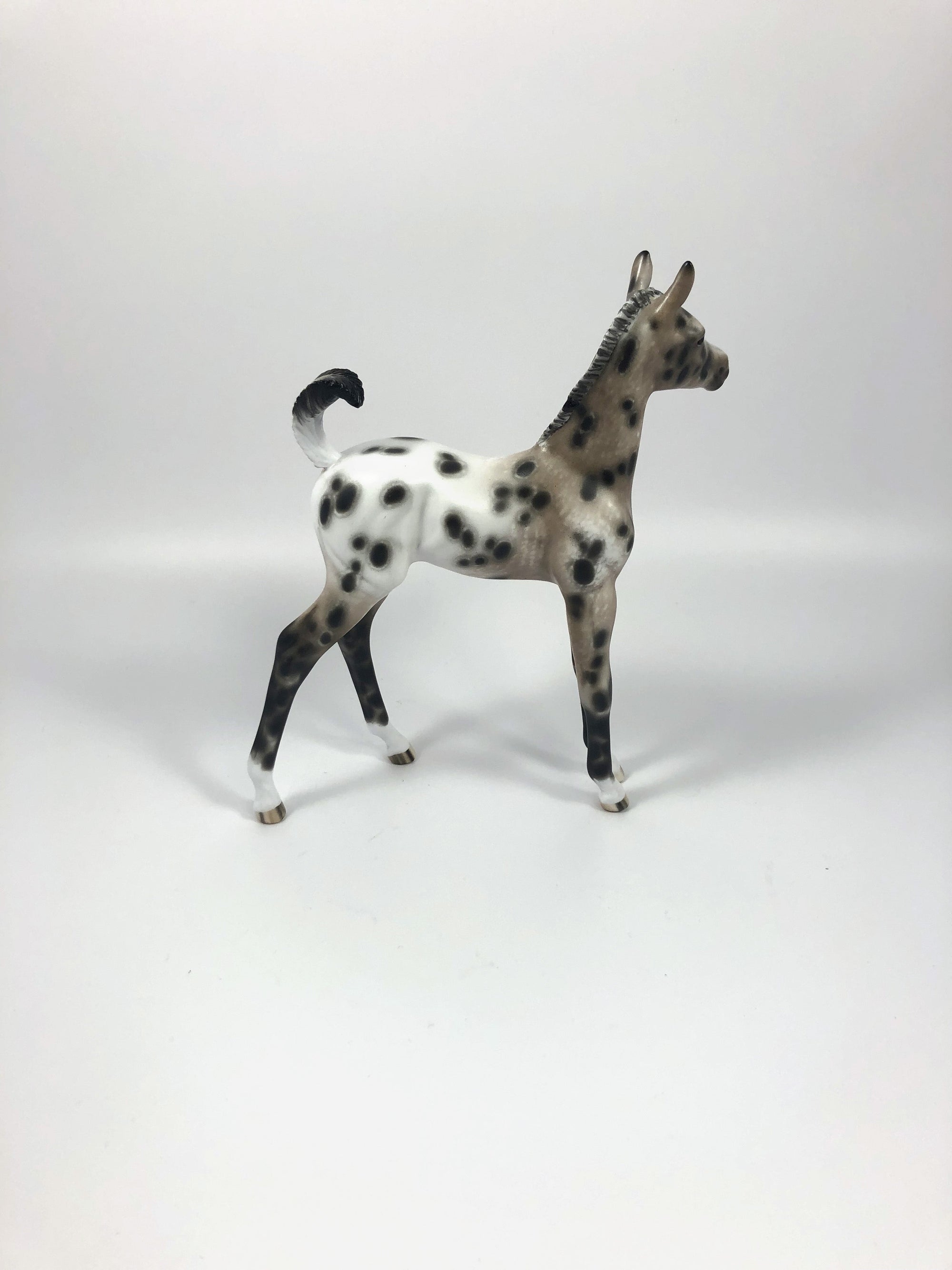 CHOCOLATE JIMMIES-OOAK BAY APPALOOSA FOAL BY SHERYL LEISURE 4/25/19
