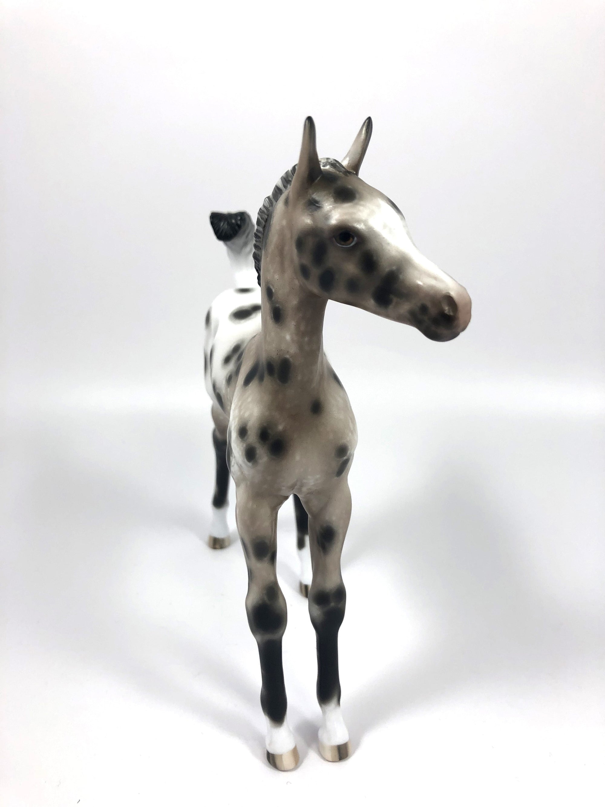 CHOCOLATE JIMMIES-OOAK BAY APPALOOSA FOAL BY SHERYL LEISURE 4/25/19