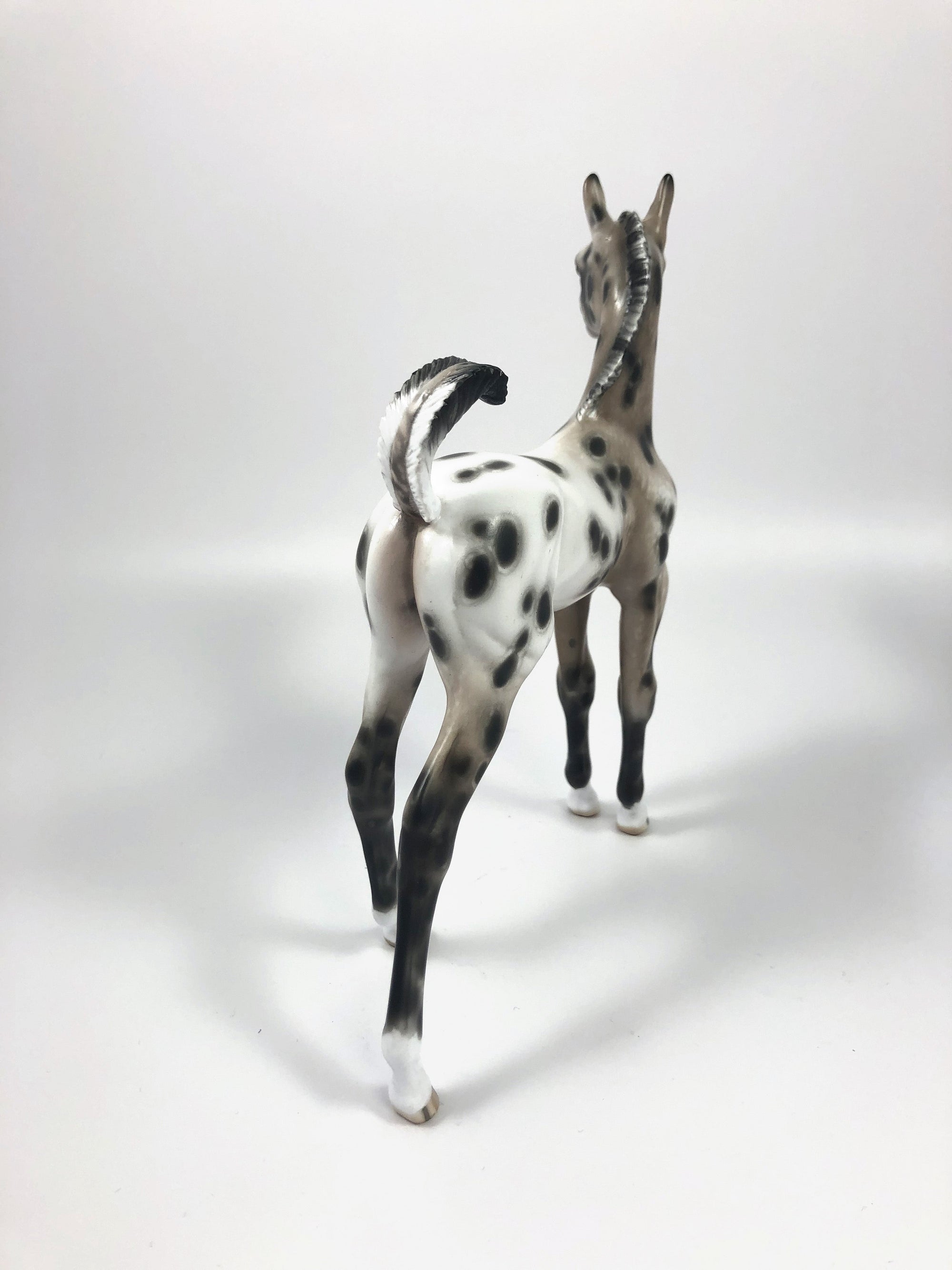 CHOCOLATE JIMMIES-OOAK BAY APPALOOSA FOAL BY SHERYL LEISURE 4/25/19