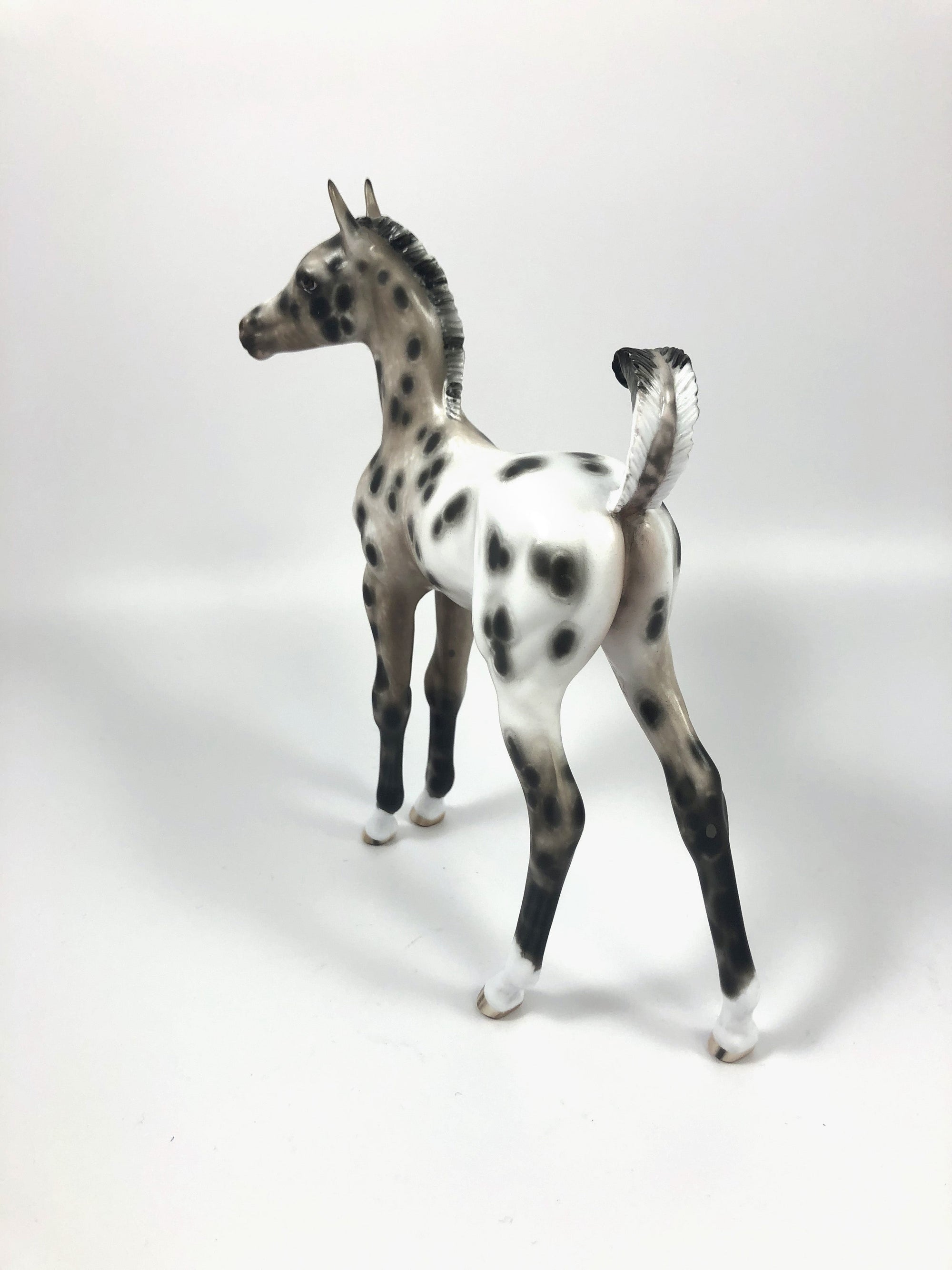 CHOCOLATE JIMMIES-OOAK BAY APPALOOSA FOAL BY SHERYL LEISURE 4/25/19