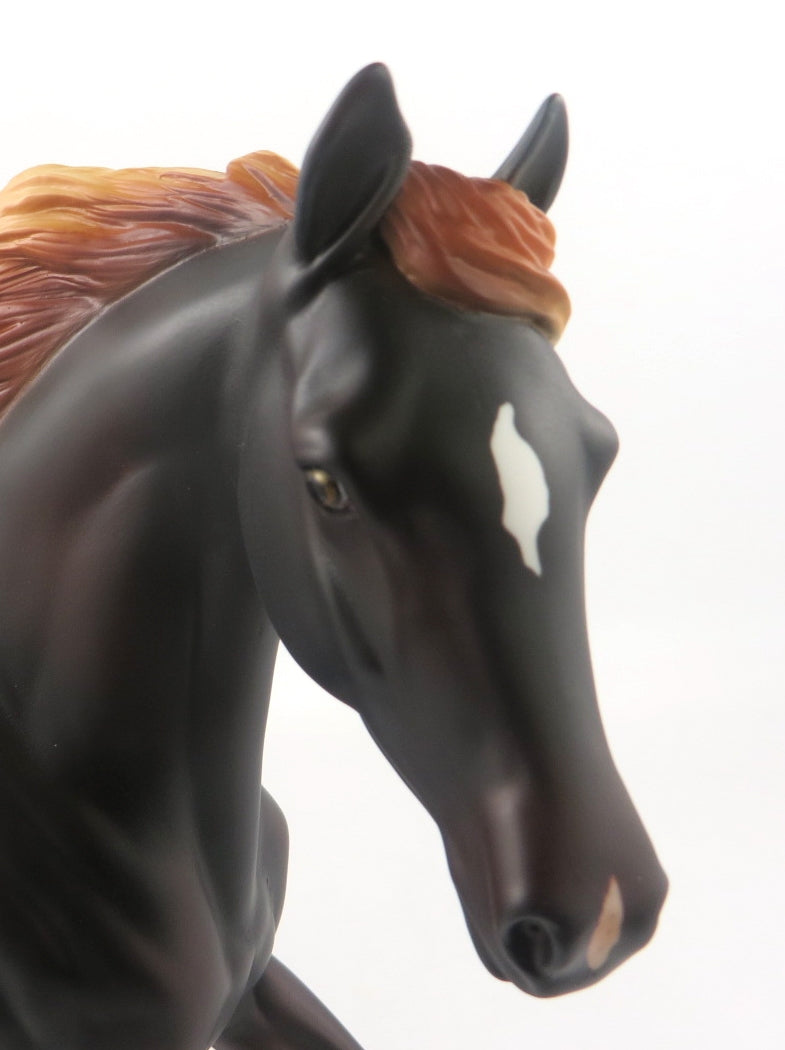 CHRISTMAS BELL - LE-15 LIVER CHESTNUT ARABIAN MARE BY KAYLA WESSE WHS19