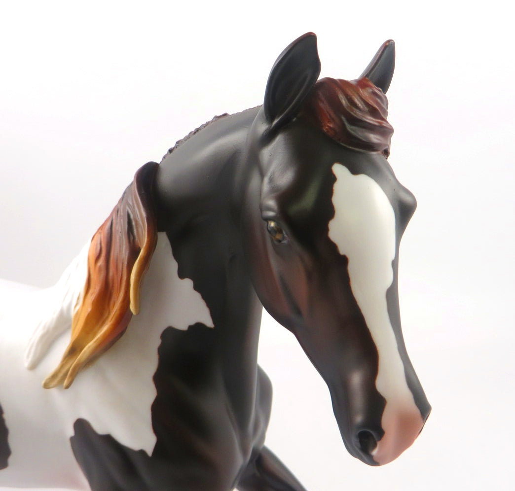 CHRISTMAS CAROL -LE-14 LIVER CHESTNUT PINTO ARABIAN MARE BY MISSY FOX WHS19