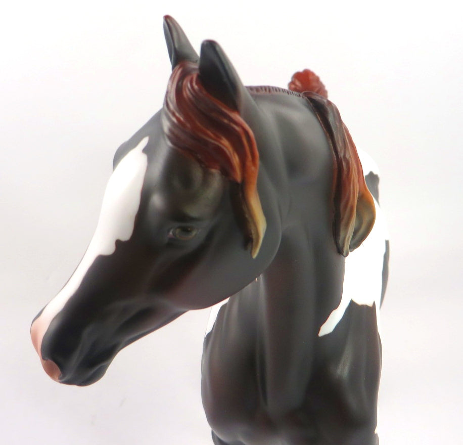 CHRISTMAS CAROL -LE-14 LIVER CHESTNUT PINTO ARABIAN MARE BY MISSY FOX WHS19