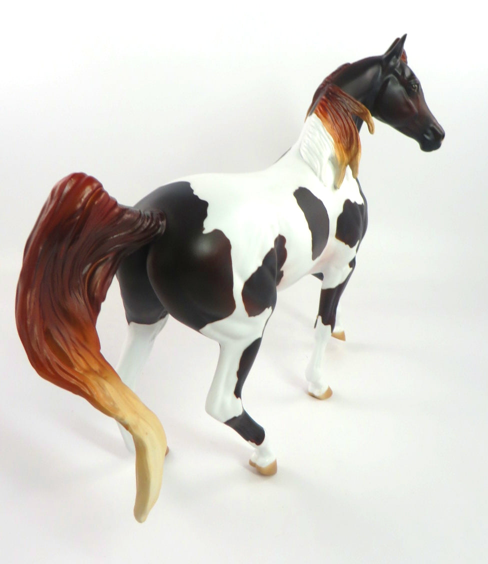 CHRISTMAS CAROL -LE-14 LIVER CHESTNUT PINTO ARABIAN MARE BY MISSY FOX WHS19