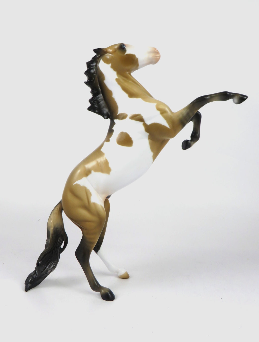 CHRISTMAS STORM - OOAK DUNN PINTO REARING PEBBLE BY AUDREY DIXON WHS19