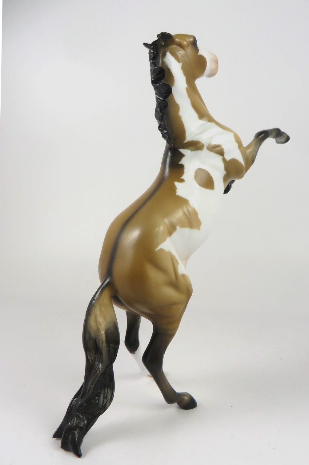 CHRISTMAS STORM - OOAK DUNN PINTO REARING PEBBLE BY AUDREY DIXON WHS19