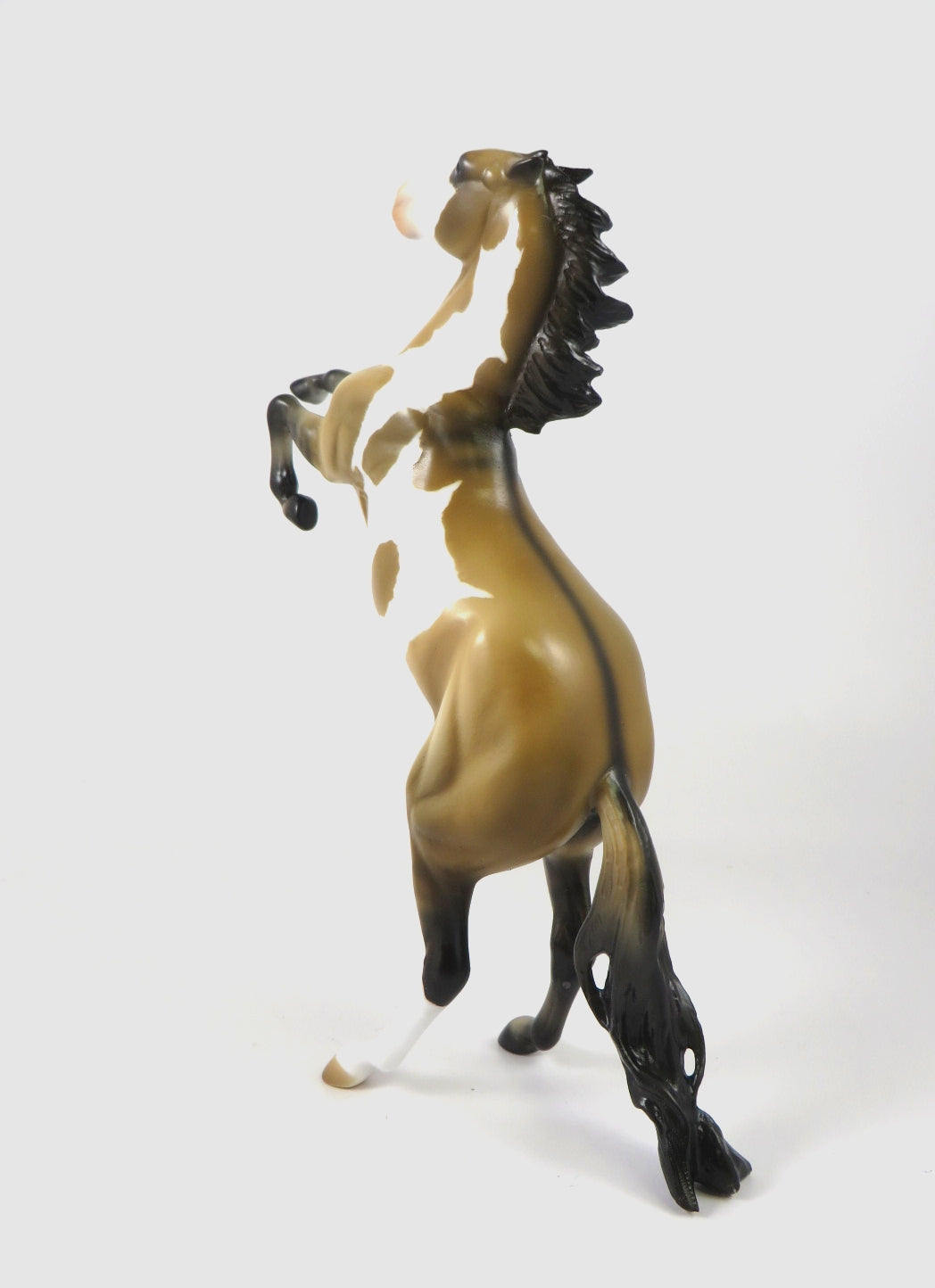 CHRISTMAS STORM - OOAK DUNN PINTO REARING PEBBLE BY AUDREY DIXON WHS19