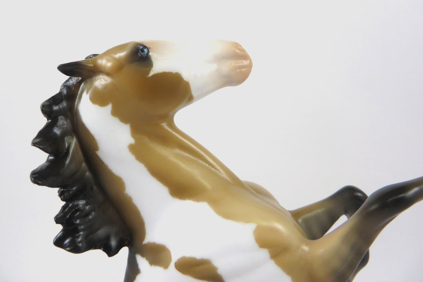 CHRISTMAS STORM - OOAK DUNN PINTO REARING PEBBLE BY AUDREY DIXON WHS19