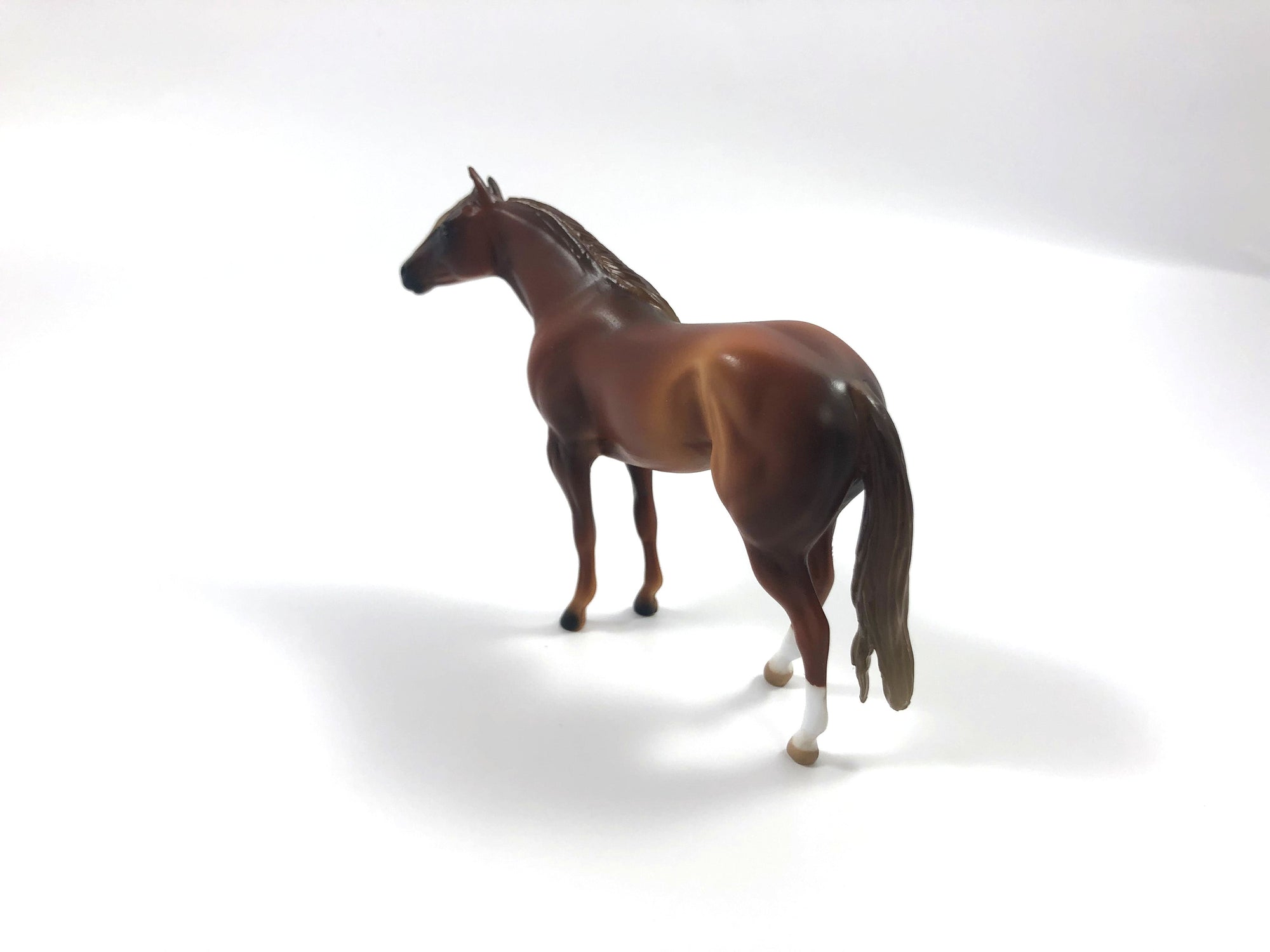 TATTERSALL -LE-15 CHESTNUT STOCK HORSE CHIP SHCF19