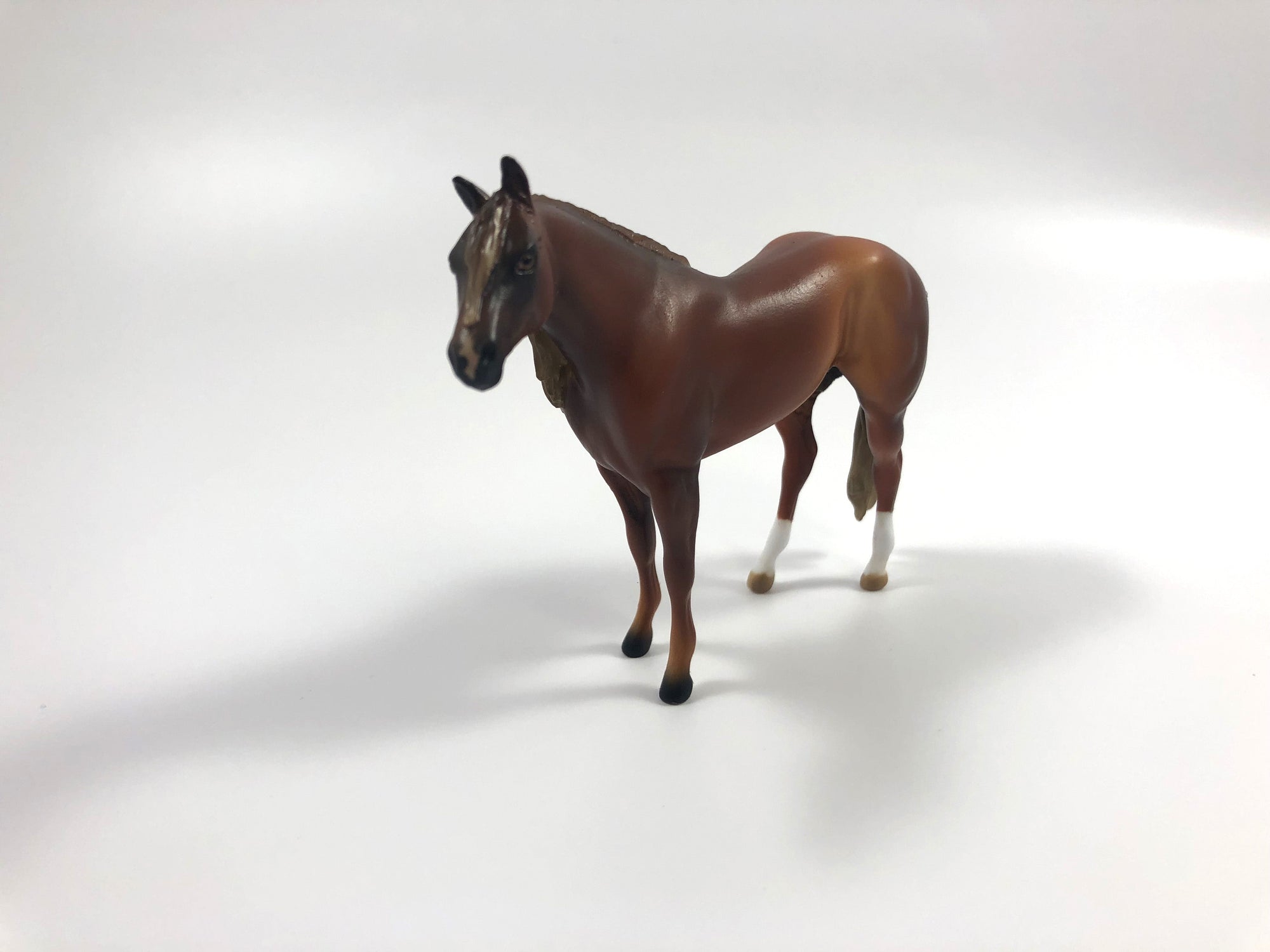 TATTERSALL -LE-15 CHESTNUT STOCK HORSE CHIP SHCF19