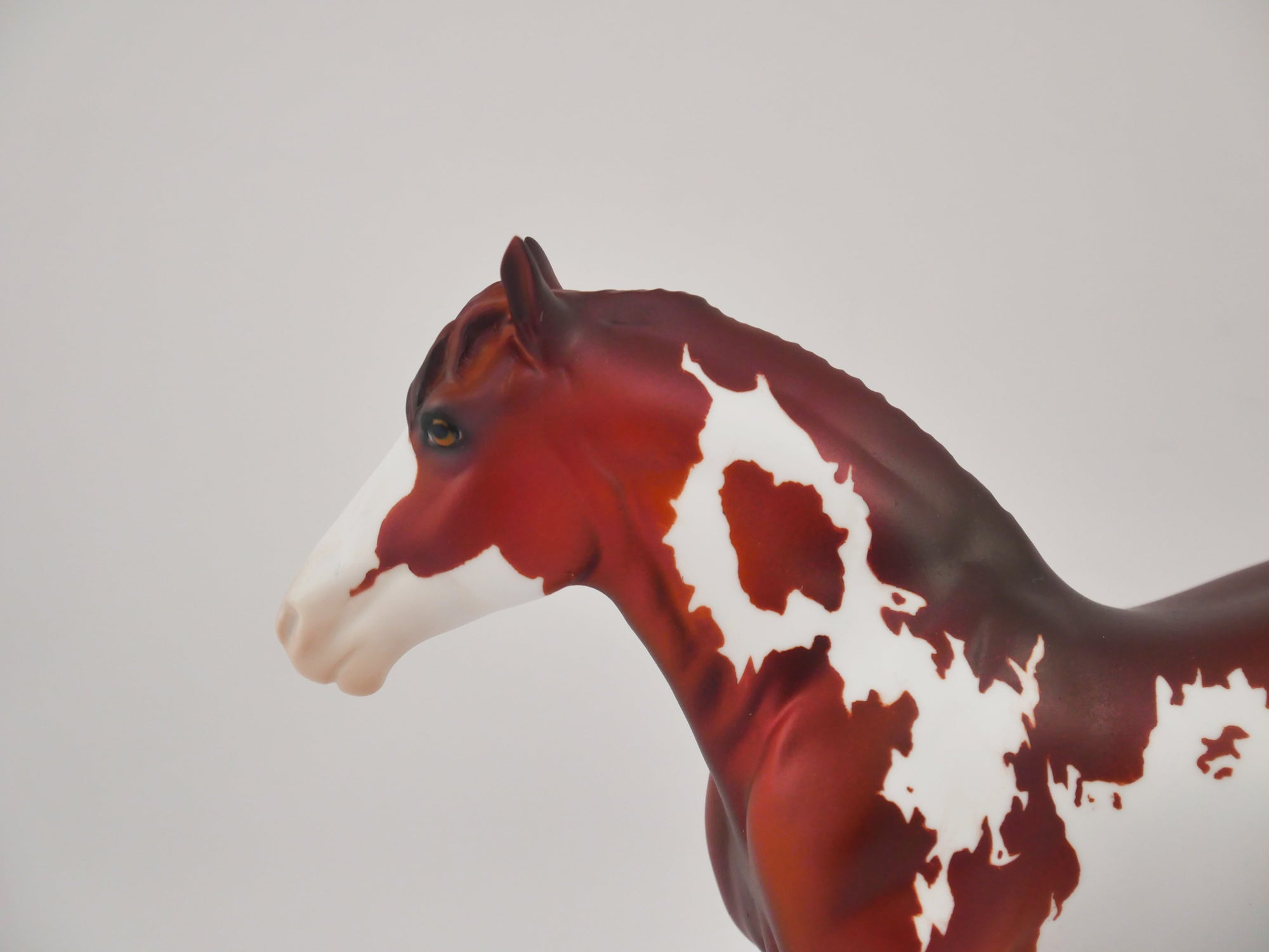 CINNEBAR-OOAK CHESTNUT PINTO DRAFT PEBBLES BY DAWN QUICK